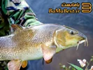 ماهی زردپر و انواع آن ...