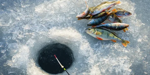 ماهیگیری در فصول مختلف سال