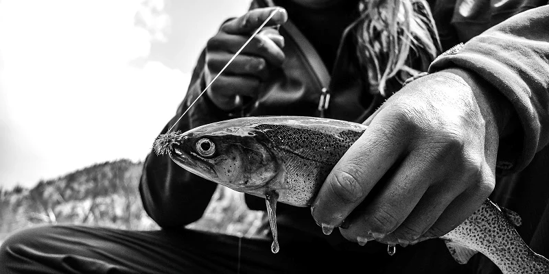 تعریف ماهیگیری و ماهیگیر چیست ؟
